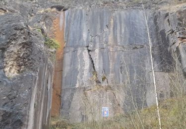 Tour Wandern Marche-en-Famenne - humain ac 3 - Photo