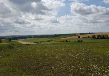 Tocht Stappen Justine-Herbigny - (16/8/2019) Herbigny - les 2 tables d'orientation  - Photo