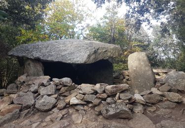 Tocht Stappen Laroque-des-Albères - laroque départ Paul  - Photo