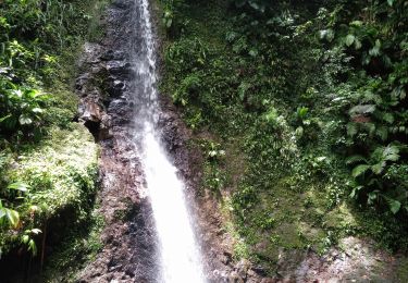 Percorso Marcia Lamentin - Cascade Bois Banane - Photo