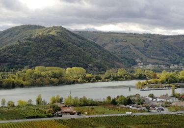 Tour Wandern Gervans - Gervans les Méjans - Photo