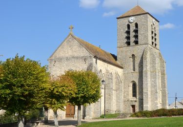 Trail On foot Moret-Loing-et-Orvanne - FR-PR 9 - Photo