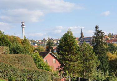 Tour Wandern Münzthal-St.Louis - St louis - Photo