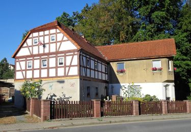 Percorso A piedi Löbau - OL-Gelber Strich - Ebersbach-Kittlitz - Photo