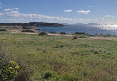 Excursión Senderismo Martigues - la Couronne Phare ➡️ Ste Croix  - Photo