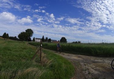 Tocht Mountainbike Genepiën - houtain-le-val - Photo