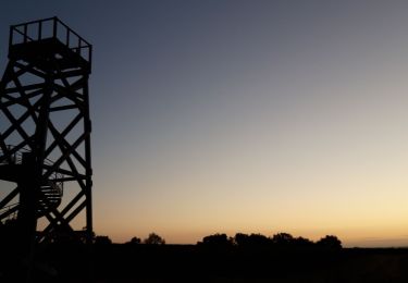 Randonnée Marche Chaudefonds-sur-Layon - corniche angevine - Photo