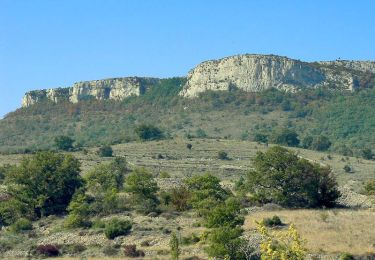 Tour Wandern Gras - 2022-06-25_20h35m53_Dent de Rez 17km-1 - Photo