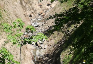Tocht Stappen Talloires-Montmin - LANFONNET   N°2 depuis la Forclaz  - Photo