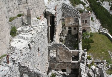 Tour Zu Fuß Vigo di Cadore - Itinerario storico del Monte Tudaio - Photo