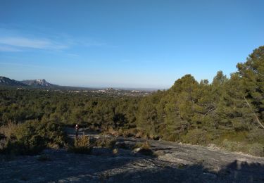 Excursión Senderismo Eygalières - mardi 10/12 - Photo