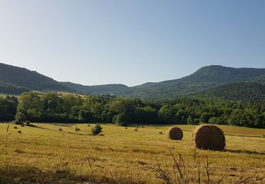 Trail Bicycle tourism Puivert - Puivert - St-Cirac - Photo