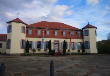 Excursión A pie Alzenau - Willy Windisch Weg - Photo