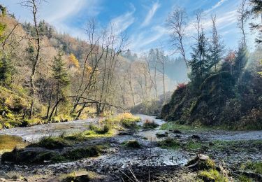 Trail Walking Houffalize - Achouffe: La Vallée des Fées - Photo
