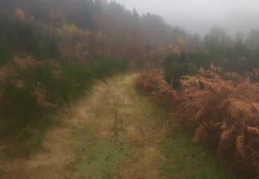 Trail Walking Fresse-sur-Moselle - Croix de Fresse - Vosges - France - Photo