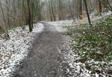 Randonnée Marche Huy -  Promenade de  l'ail des ours  - Photo