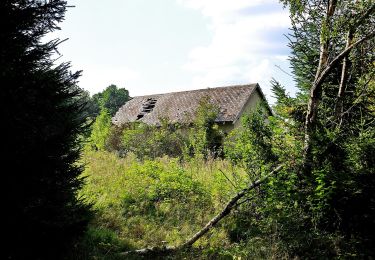 Randonnée A pied Schönsee - Bayern-Böhmen-Runde 2 - Photo