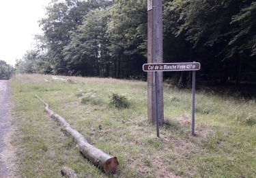 Tour Wandern Saint-Hubert - arville 290720 - Photo