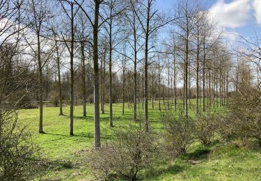 Tocht Stappen Camon - CAMON - Photo