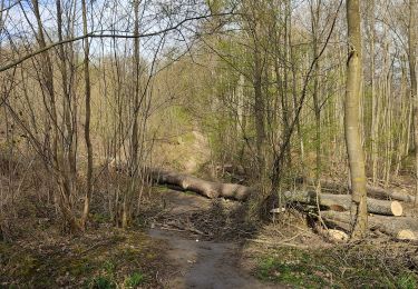 Randonnée Marche Clamart - La Bossapas de Meudon - Photo