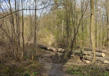 Trail Walking Clamart - La Bossapas de Meudon - Photo