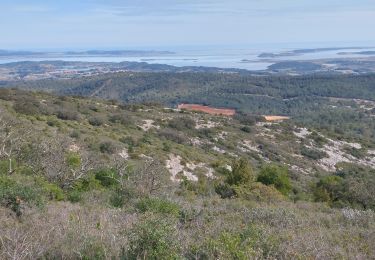 Randonnée Marche Peyriac-de-Mer - Pla du Couloubret dans les Corbières  - Photo