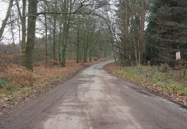 Randonnée A pied Breckland - Great Eastern Pingo Trail - Photo