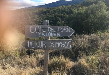 Trail Walking Marquixanes - Marquixanes - Photo