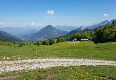 Trail Walking Lus-la-Croix-Haute - 2019 06 02 Col de la Croix - Photo