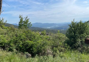 Tocht sport Saint-Cézaire-sur-Siagne - ST CEZAIRE VALMOURA - Photo