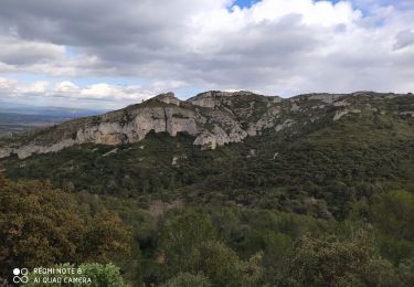 Randonnée Marche Saint-Rémy-de-Provence - Alpilles - Photo