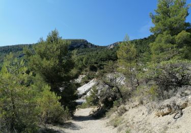 Tour Wandern Buis-les-Baronnies - Malpertuis - Milmandre - Ubrieux 04.08.2021 - Photo