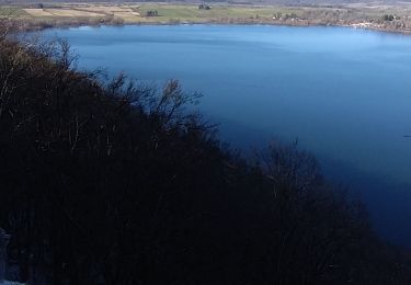 Excursión Senderismo Doucier - Sur les hauteurs du lac de Chalain - Photo