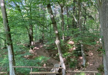 Trail Walking Esneux - Mary - Photo