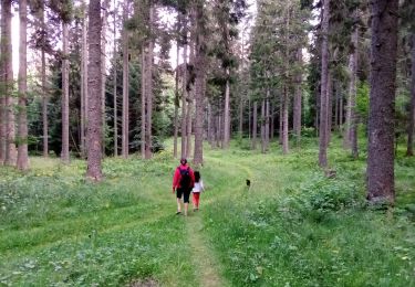 Trail Walking Autrans-Méaudre en Vercors - Le Gros Martel par le trou de L'enfer - Photo