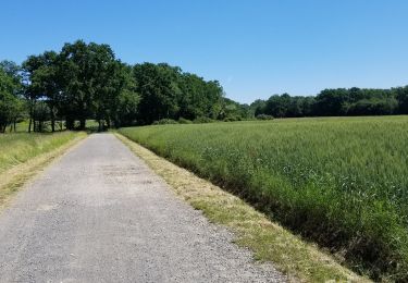 Percorso Mountainbike Yvoire - yvoire -> chens  - Photo