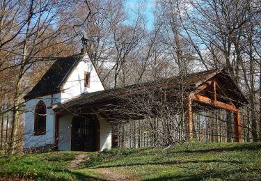 Tocht Te voet Schwäbisch Gmünd - Glaubensweg c - Photo