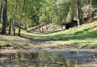 Randonnée A pied Schwarzach - Rundwanderweg Schwarzach 4: Hinterer-See-Weg - Photo