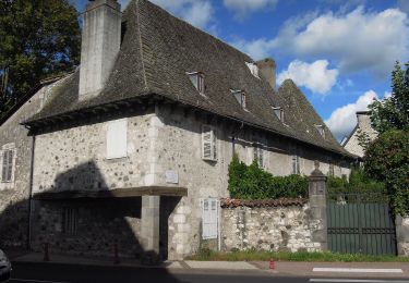 Randonnée A pied Arpajon-sur-Cère - Puy de Vaurs - Photo