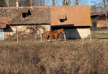 Tocht Elektrische fiets Ostwald - VTT Vosges  - Photo