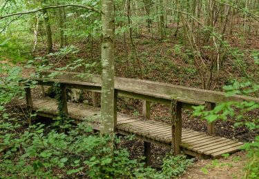 Trail On foot Bettembourg - Auto-Pédestre Abweiler - Photo