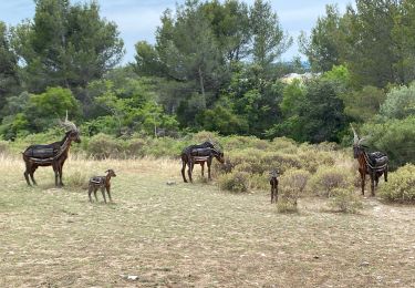 Tour Wandern Tarascon - Chapelle Saint Gabriel - Photo