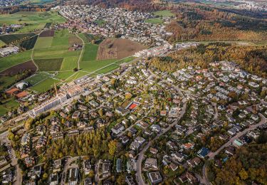 Percorso A piedi Uitikon - Birmensdorf - Ringlikon - Photo