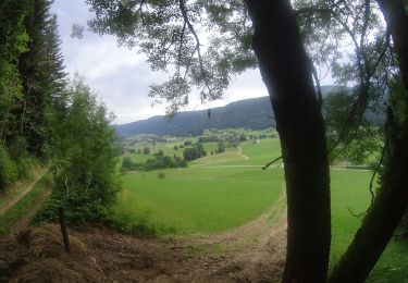 Tour Mountainbike Autrans-Méaudre en Vercors - activity_9138581037 - Photo