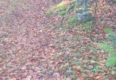 Tour Wandern Charix - charix - Photo