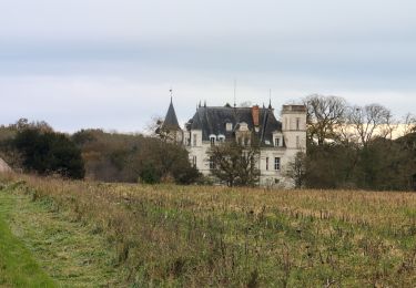 Excursión Senderismo Esvres - Esvres-sur-Indre - Veneuil Rouillers Hardellière - 24.5km 245m 5h20 (50mn) - 2024 11 23 - Photo