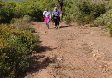 Trail Walking Roquebrune-sur-Argens - z les 3 ruisseaux 20-10-20 - Photo