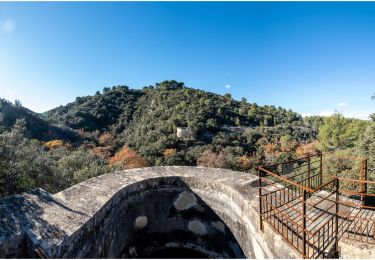 Percorso Marcia Peyrolles-en-Provence - Le Loubatas et l'ancien canal du Verdon de Peyrolles en Provence - Photo
