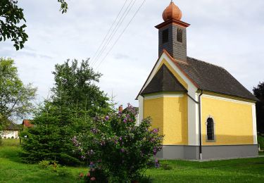 Randonnée A pied Naarn im Machlande - Aulehrpfad - Photo