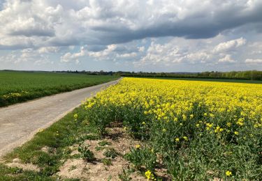 Tocht Stappen Ferrières - FERRIERES - Photo